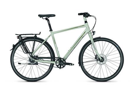 Foto Raleigh Gatsby DLX 8G