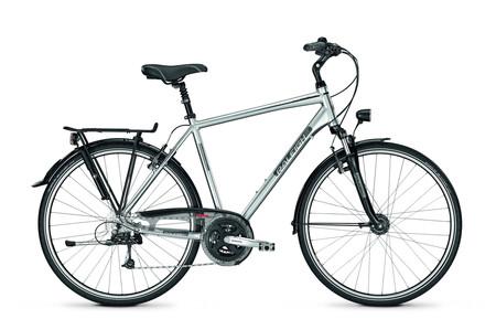 Foto Raleigh Oakland DLX 24G