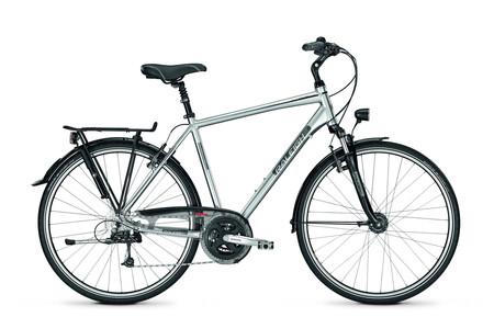 Foto Raleigh Oakland DLX 24G Lady