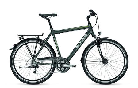 Foto Raleigh Oakland DLX 27G Lady