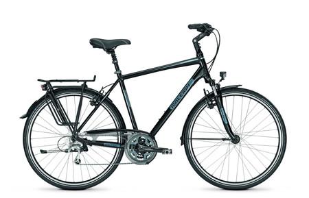 Foto Raleigh Richmond DLX 27G