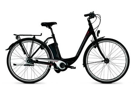 Foto Raleigh Stoker IR Lite 8G Lady