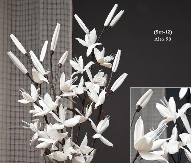 Foto rama magnolias blancas