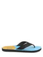 Foto Reef HT Prints Sandalias de dedo fade cola
