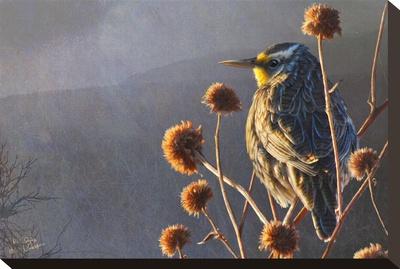 Foto Reproducción en lienzo de la lámina Alondra en la vega de Chris Vest, 25x37 in.