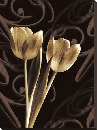 Foto Reproducción en lienzo de la lámina Floral Eloquence I de Ily Szilagyi, 61x46 in.