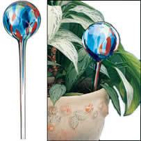 Foto riego de plantas aqua globes