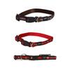 Foto Rogz Dogs Beach Bum Collar