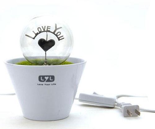 Foto Romantic Flower Pot Lamp Night Light - I Love You