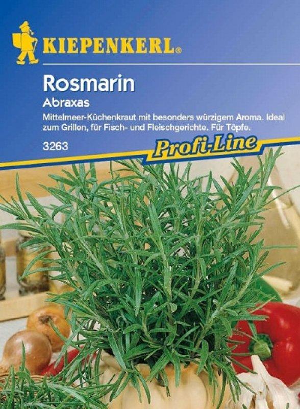 Foto Rosmarin 'Abraxas' - Rosmarinus officialis - Samen