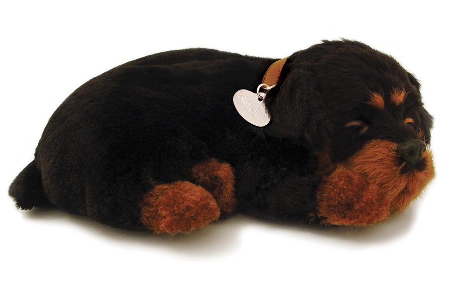 Foto Rottweiler - Peluche Perfect Petzzz, la mascota que respira