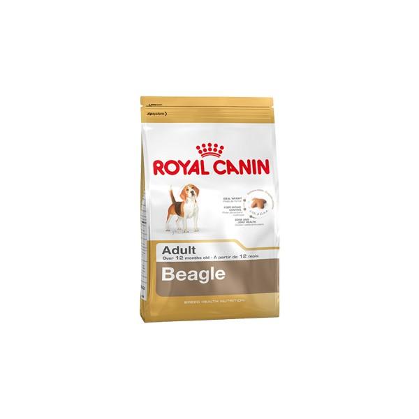 Foto Royal canin beagle adulto Pack 2 x 12 kg