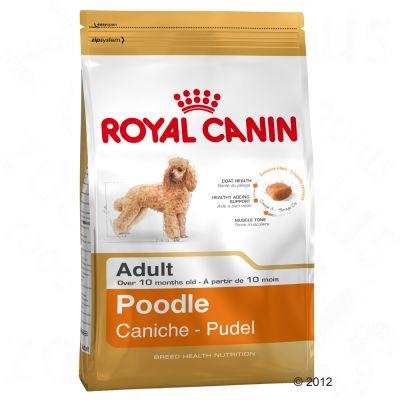 Foto Royal Canin Breed Caniche Adult - 1,5 kg