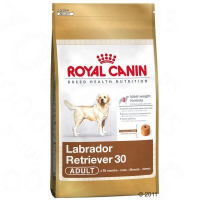 Foto Royal Canin Breed Labrador Retriever 30 Adult - 2 x 12 kg - Pack Ahorro