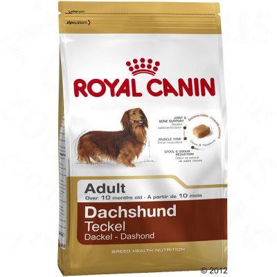 Foto Royal Canin Breed Teckel Adult - 1,5 kg