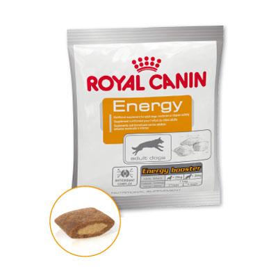 Foto Royal Canin Energy 30 sobres de 50gr