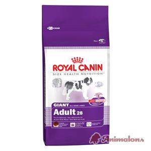 Foto ROYAL CANIN Giant Adult