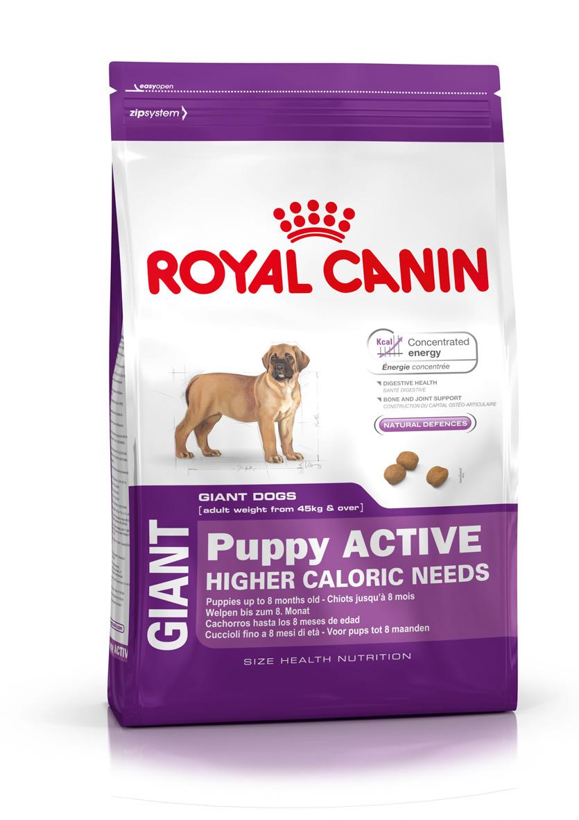 Foto Royal Canin Giant Puppy Active