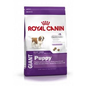 Foto Royal canin giant puppy