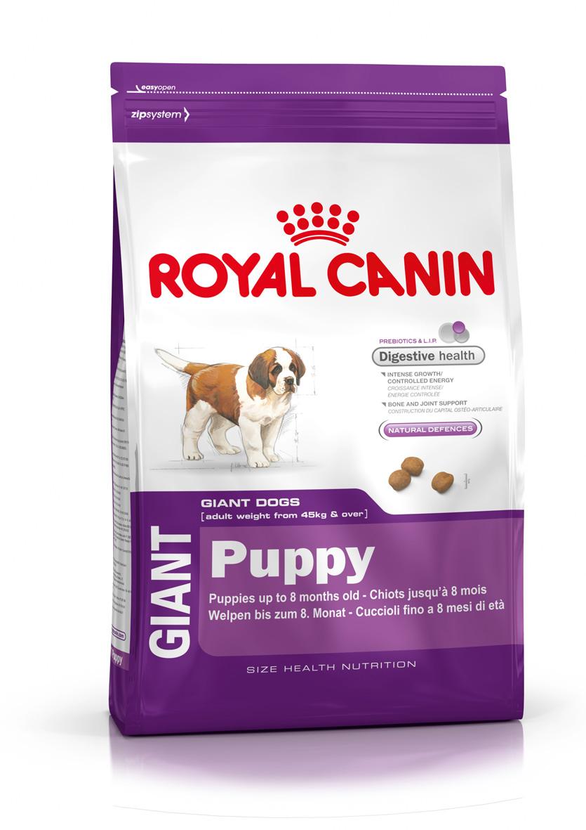 Foto Royal Canin Giant Puppy