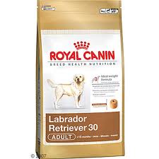 Foto Royal canin labrador adulto 12 kg