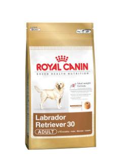 Foto Royal Canin Labrador Retriever Adult 12 Kg