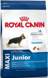 Foto Royal Canin Maxi Junior 15kg