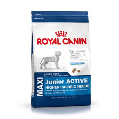Foto Royal Canin Maxi Junior Active 15 Kg