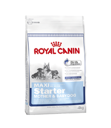 Foto royal canin perro starter maxi 15 kg