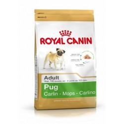 Foto Royal Canin Pug - Carlino 2 x 3 kg