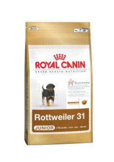 Foto Royal Canin Rottweiler Junior 12 Kg