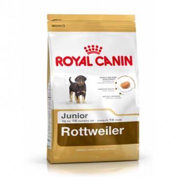 Foto Royal canin rottweiler junior 31 1 Saco de 12 Kg + Scalibor 65cm