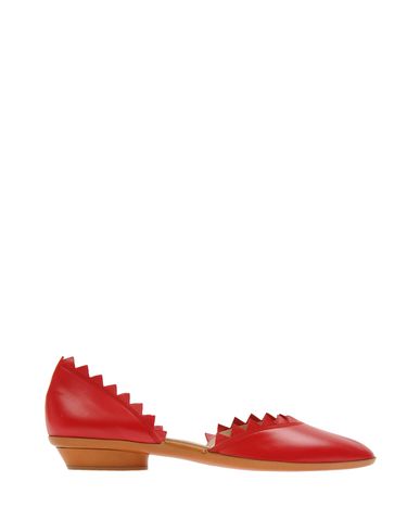 Foto salvatore ferragamo bailarinas
