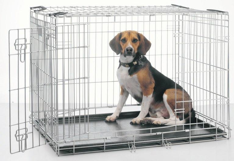 Foto Savic dog residence 107 cm.