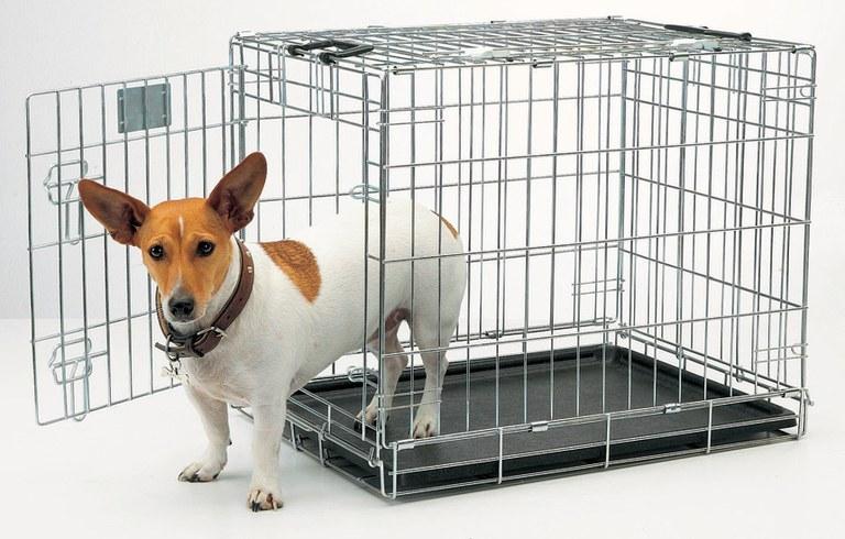 Foto Savic dog residence 50 cm.