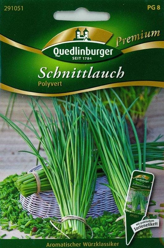 Foto Schnittlauch, grobröhrig 'Polyvert' - Allium schoenoprasum - Same
