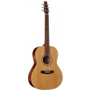 Foto Seagull coastline s6 folk cedar qi