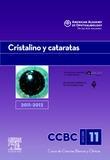 Foto Seccion 11: cristalino y cataratas 2011-2012 (en papel)