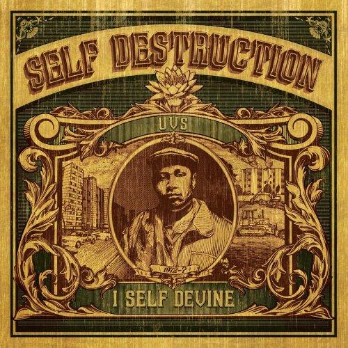 Foto Self Destruction Vinyl