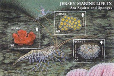 Foto Sello de Jersey 1634-1636 Fauna marina. Esponjas . De HB 109