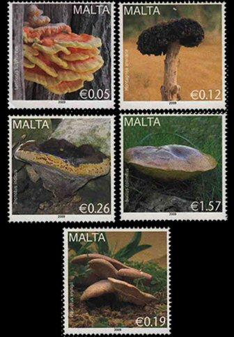 Foto Sello de Malta 1531-1535 Setas