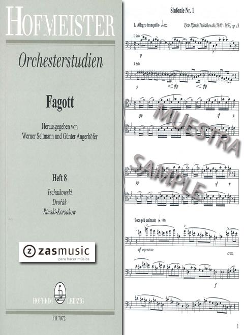 Foto seltmann, w. y angerhofer, g.: orchesterstudien vol. 8 tsch
