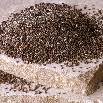Foto Semillas de Chia Soria Natural 250 Gr