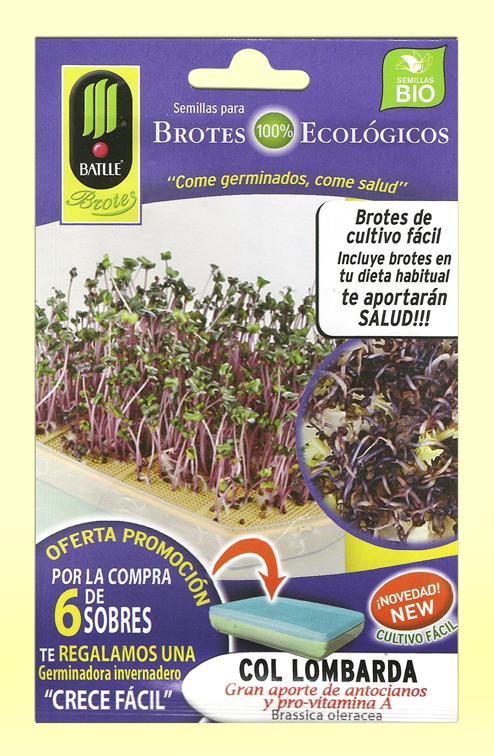 Foto Semillas para Germinar Brotes Ecológicos de Col Lombarda - Batlle