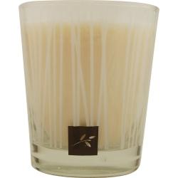 Foto Sensory Fusion Kiwi Coconut By Aromafloria Aromatic Soy Candle 10 Oz U