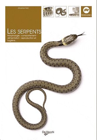 Foto Serpents de France et d'Europe