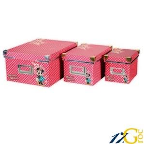 Foto Set Minnie 3 cajas (Disney)