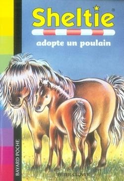 Foto Sheltie adopte un poulain
