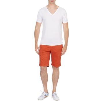 Foto Short Teddy Smith Short Chino 3