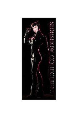 Foto Sideshow Collectibles Banner Dc Comics Catwoman 50 X 122 Cm